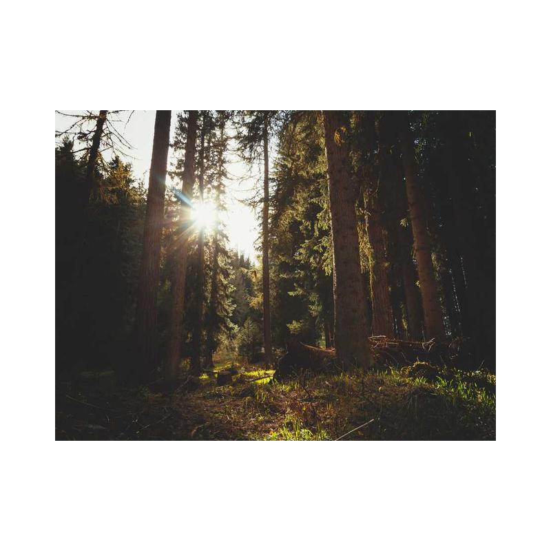 Enormous Paper Watch fr-FR